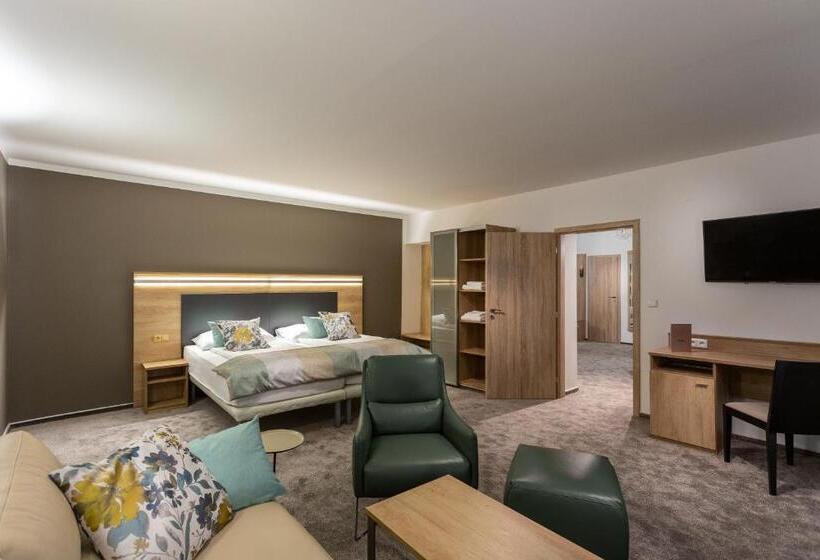 침실 1개 수피리어 아파트, Wine Wellness Hotel Amande Hustopeče