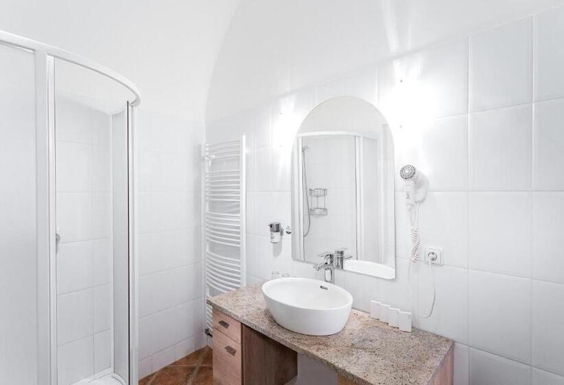 침실 1개 수피리어 아파트, Wine Wellness Hotel Amande Hustopeče