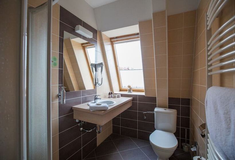 스탠다드 싱글 룸, Wine Wellness Hotel Amande Hustopeče