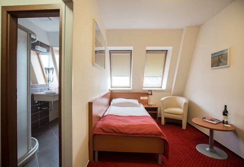 스탠다드 싱글 룸, Wine Wellness Hotel Amande Hustopeče