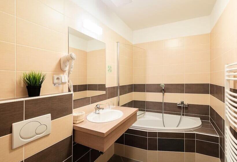 复式房间, Wine Wellness Hotel Amande Hustopeče