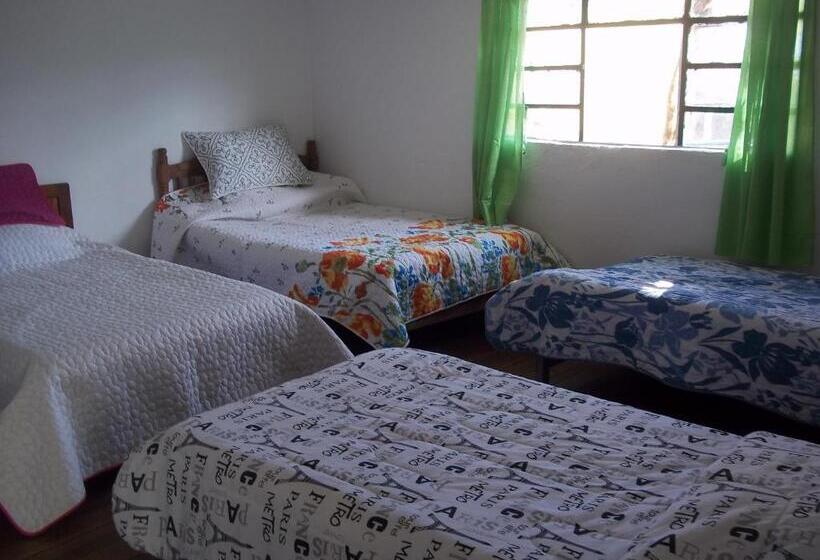 اتاق استاندارد چهار تخته, Hospedaje Bella Vista Mongui