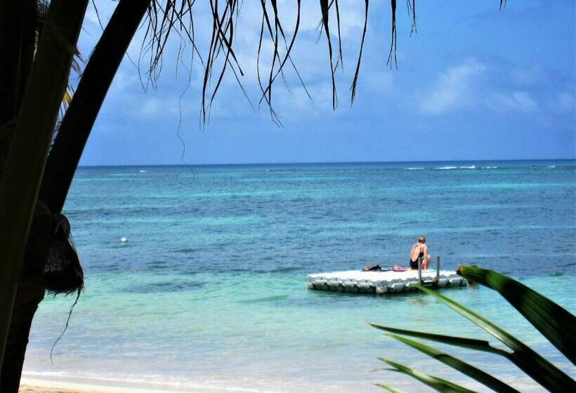 סוויטה, Little Corn Island Beach And Bungalow