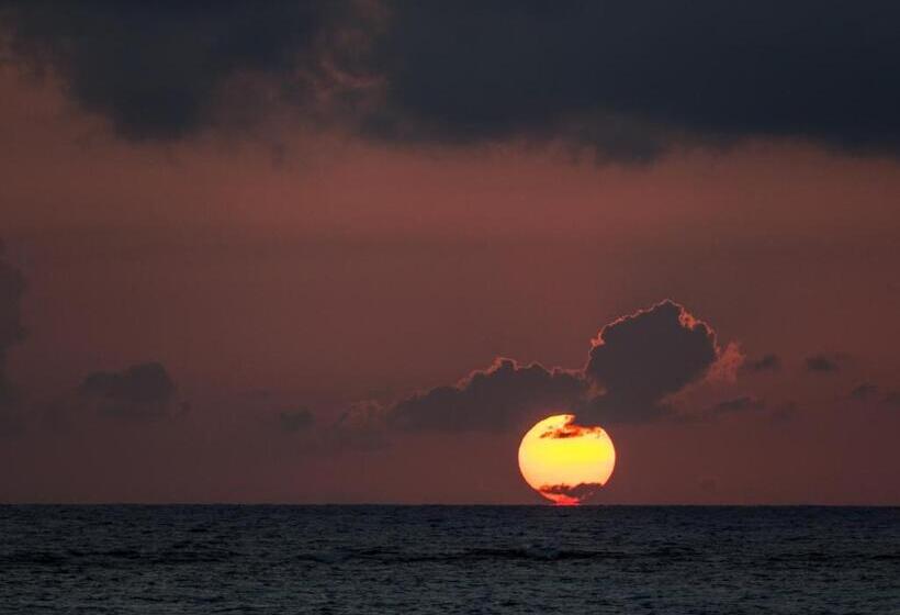 חדר סטנדרט, Little Corn Island Beach And Bungalow