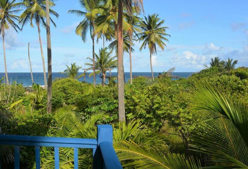 סוויטה, Butterfly House Bahia