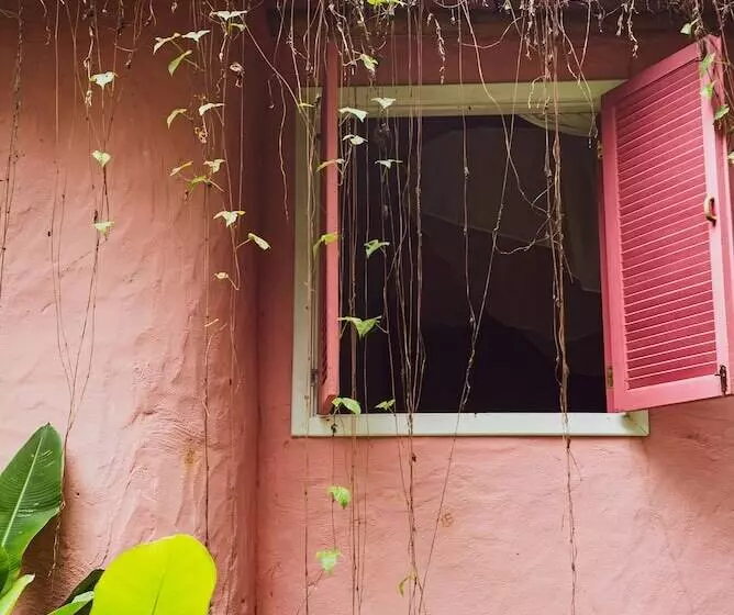 デラックスバンガロー, Butterfly House Bahia