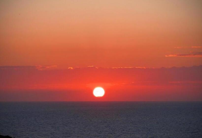 豪华海景房, Mercury Boutique