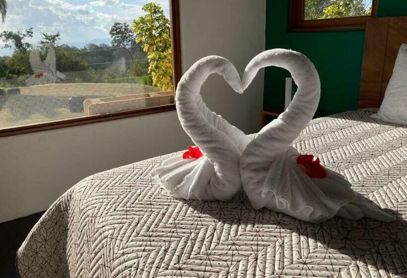 디럭스 룸 바다 전망, Palmetto Lodge