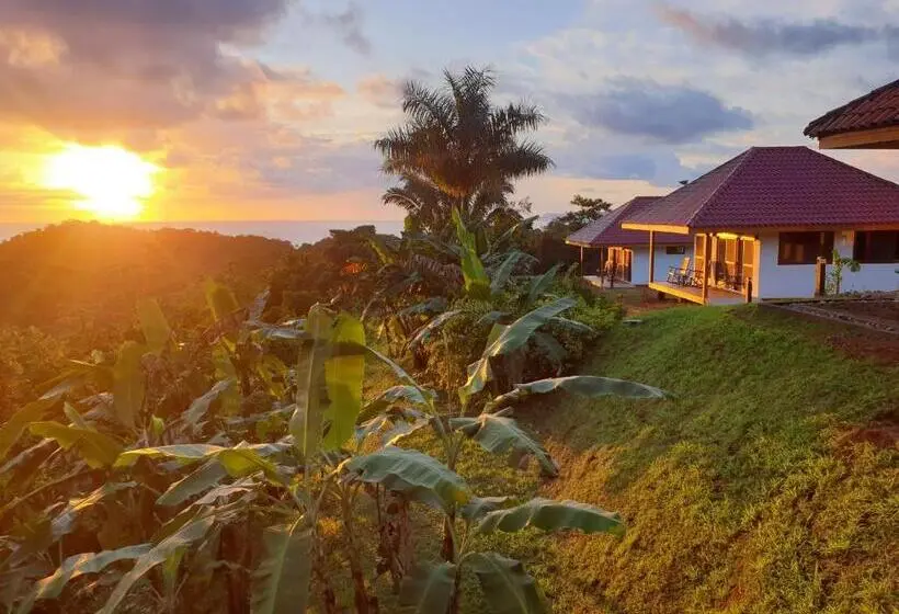 デラックスバンガロー, Palmetto Lodge