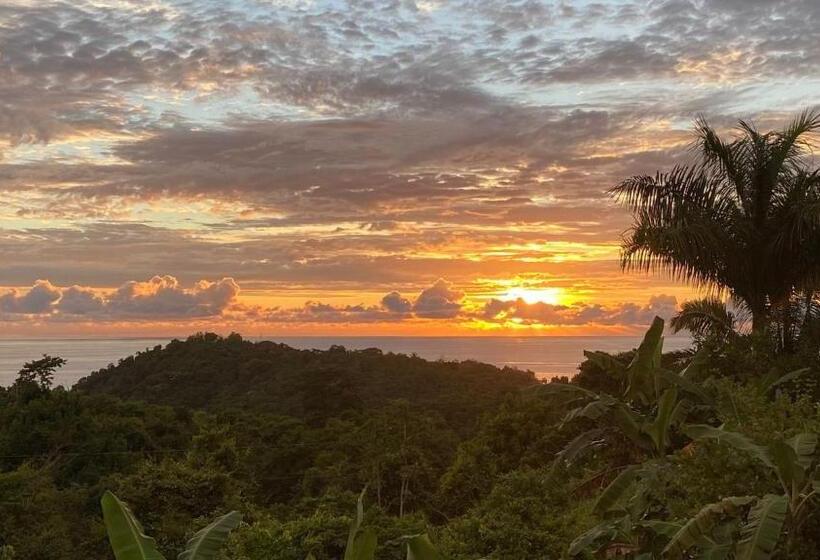 디럭스 방갈로, Palmetto Lodge