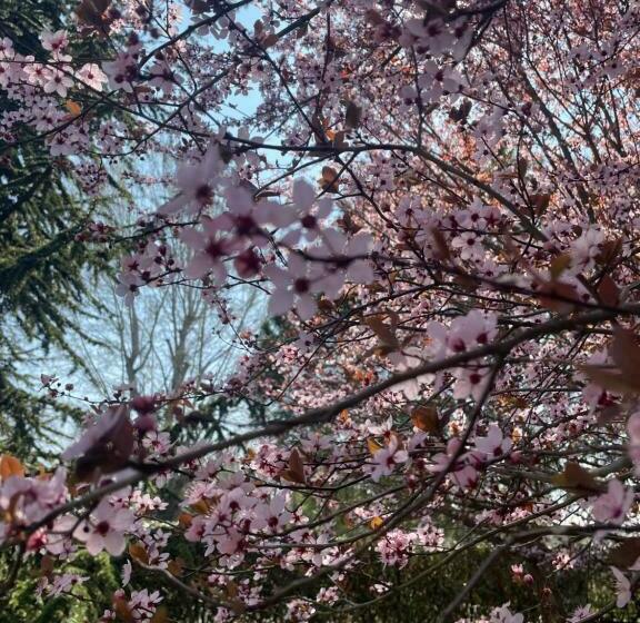 בית, חדר שינה 1, Malamù Bnb Eventi