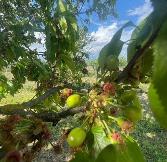 בית, חדר שינה 1, Malamù Bnb Eventi