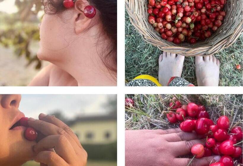 בית, חדר שינה 1, Malamù Bnb Eventi