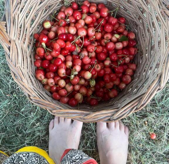 בית, 2 חדרי שינה, Malamù Bnb Eventi