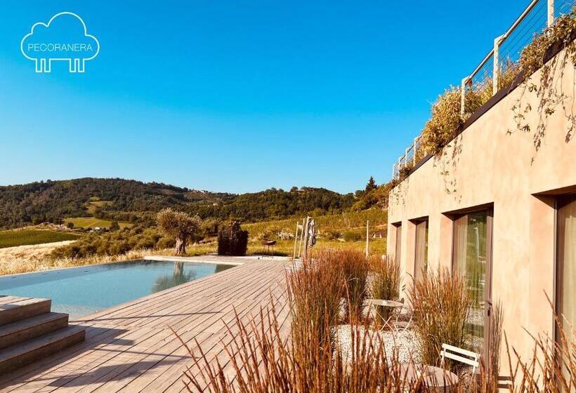 スタンダードルーム, Pecoranera