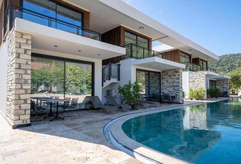 패밀리 룸, Batıhan Vadi