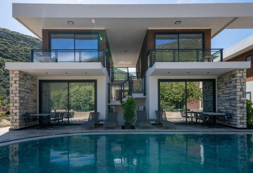 패밀리 룸, Batıhan Vadi