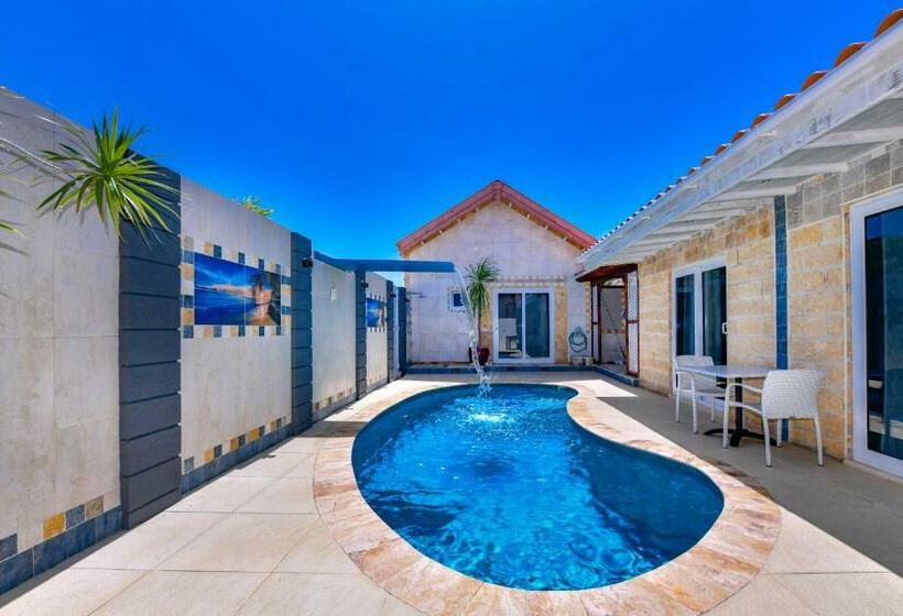 استودیوی استاندارد, Boutique Hotel Swiss Paradise Aruba Villas And Suites