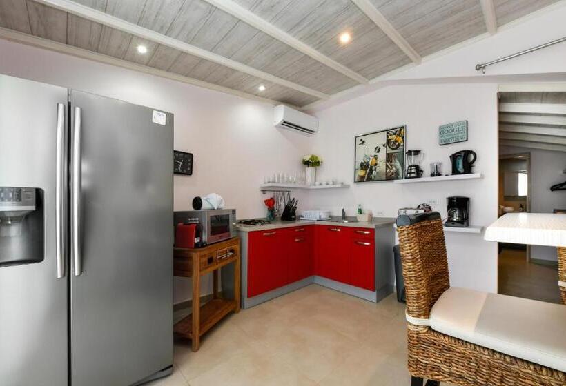 استودیوی استاندارد, Boutique Hotel Swiss Paradise Aruba Villas And Suites