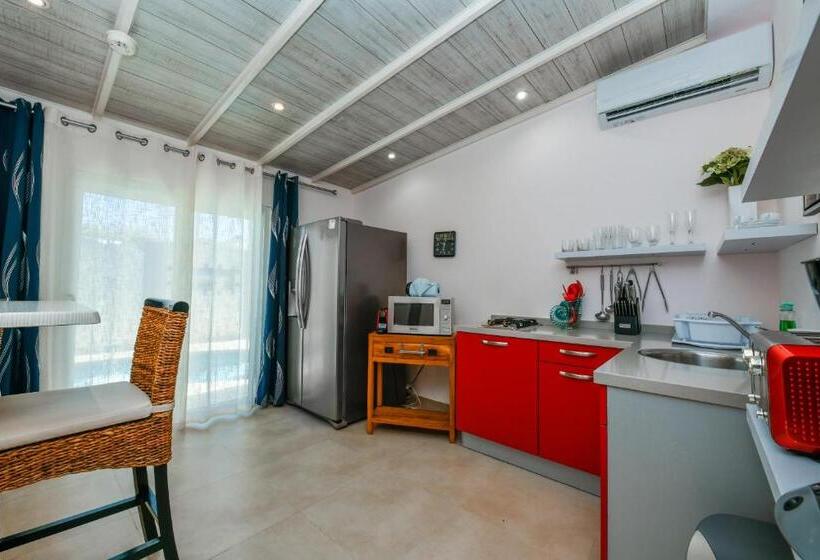 استودیوی استاندارد, Boutique Hotel Swiss Paradise Aruba Villas And Suites