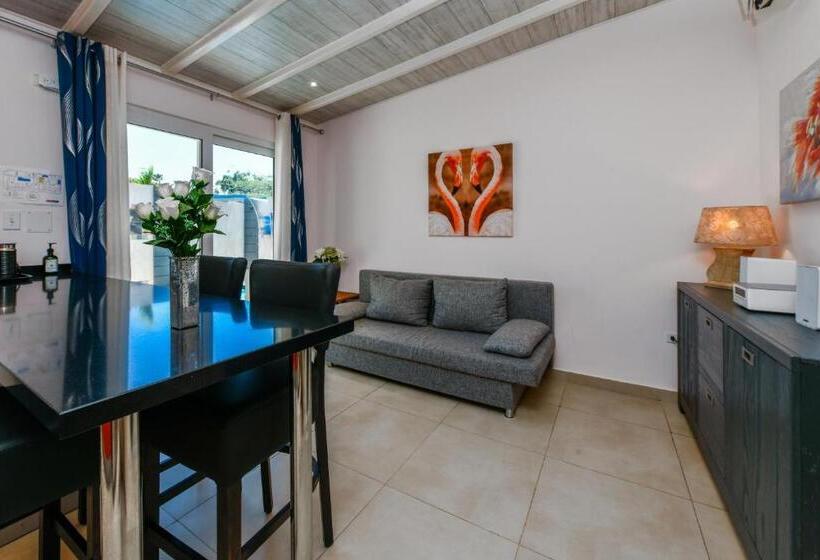 آپارتمان لوکس 1 خوابه, Boutique Hotel Swiss Paradise Aruba Villas And Suites