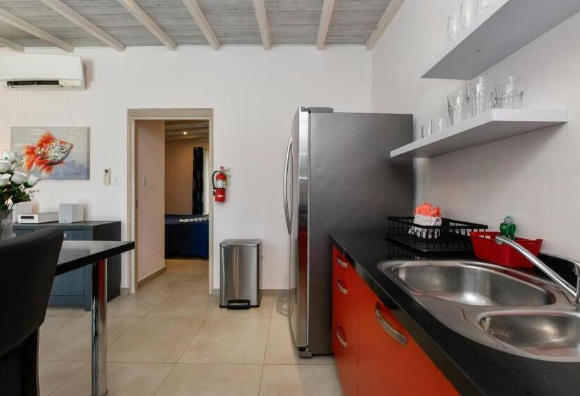 آپارتمان لوکس 1 خوابه, Boutique Hotel Swiss Paradise Aruba Villas And Suites