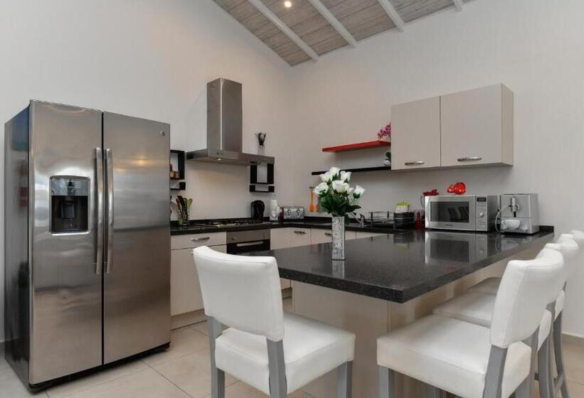 ویلای 1 خوابه با باغ, Boutique Hotel Swiss Paradise Aruba Villas And Suites