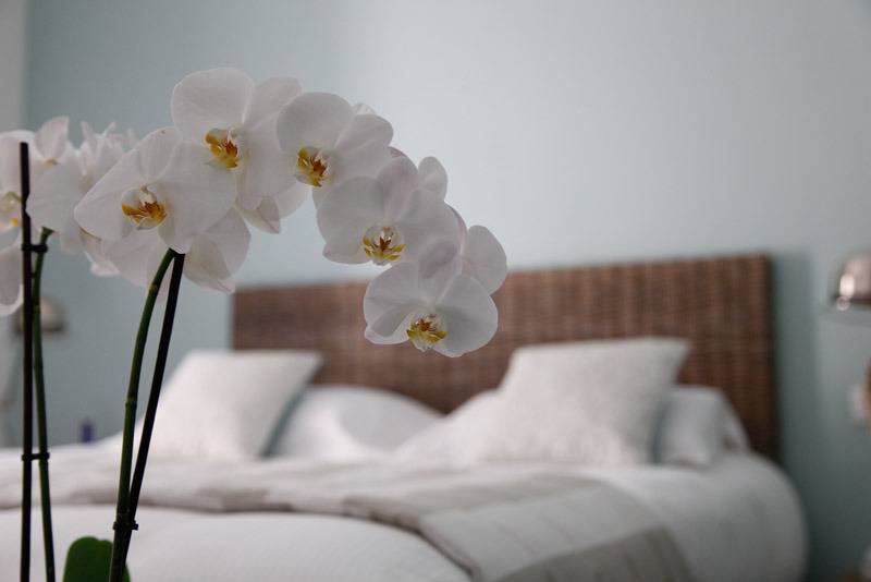 스탠다드 룸, Domaine Riberach   Restaurant étoilé   Spa   Piscine Naturelle   Vignoble Bio