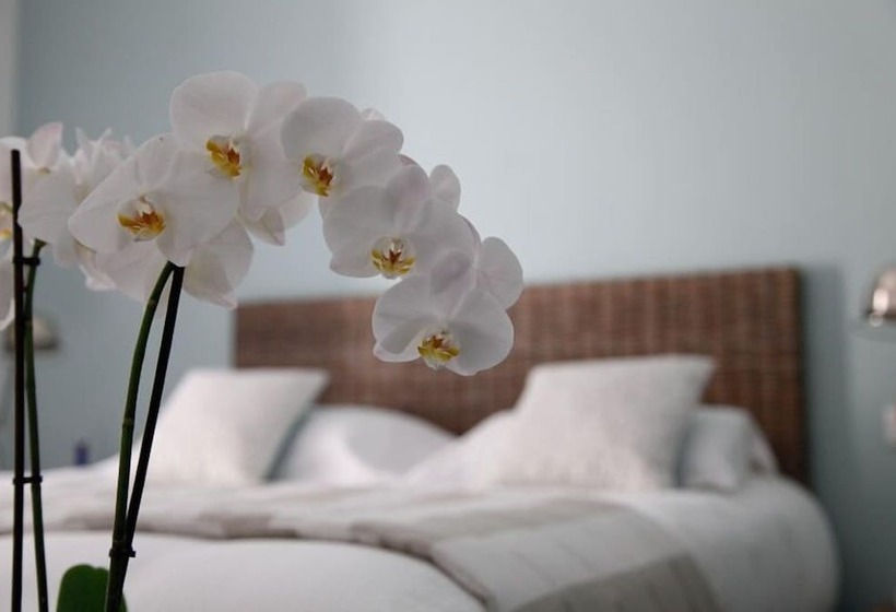 스탠다드 룸, Domaine Riberach   Restaurant étoilé   Spa   Piscine Naturelle   Vignoble Bio