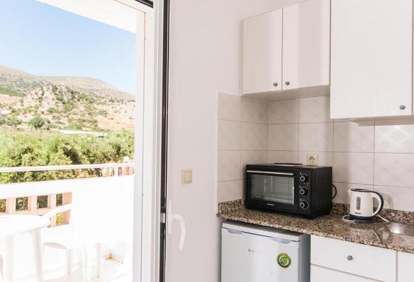 スタンダードスタジオ, Emerald