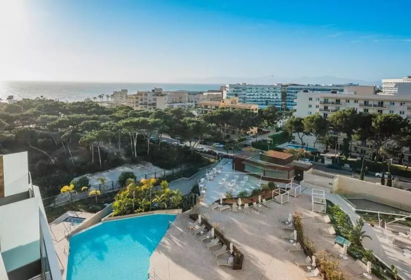 ジュニアスイート, Iberostar Selection Llaut Palma - Adults Only