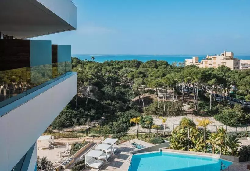 プールの見えるシングルルーム, Iberostar Selection Llaut Palma - Adults Only