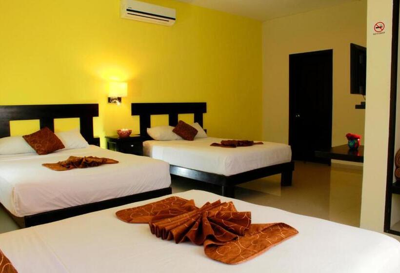 标准三人间, Nautilus