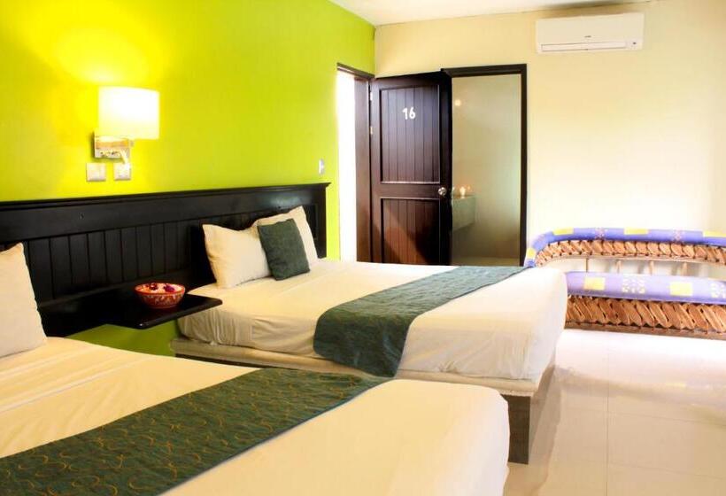 标准三人间, Nautilus