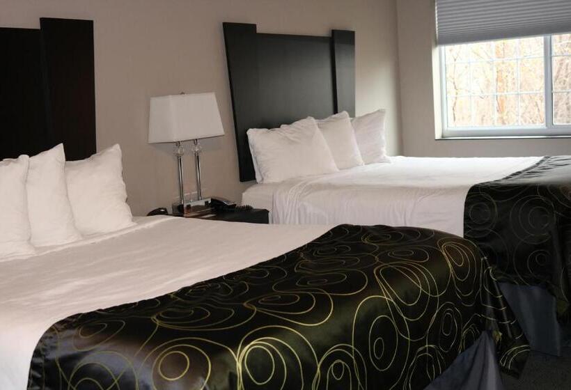 スタンダードルーム, Okoboji Inn & Suites