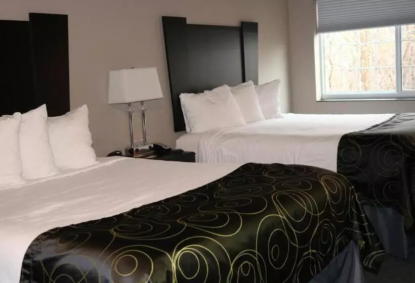スタンダードルーム, Okoboji Inn & Suites
