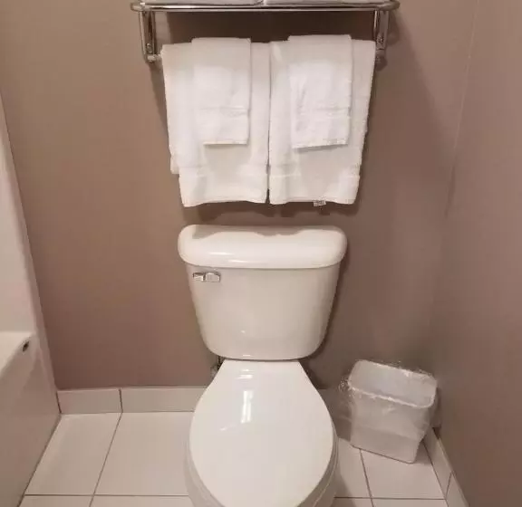 身障者適用キングサイズベッドルーム, Okoboji Inn & Suites