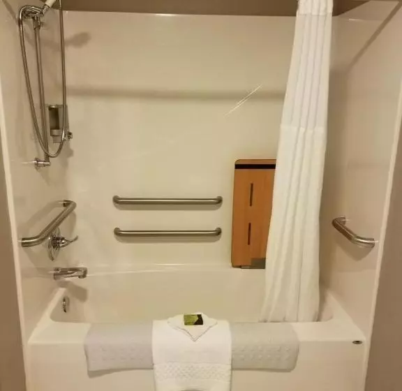 身障者適用キングサイズベッドルーム, Okoboji Inn & Suites