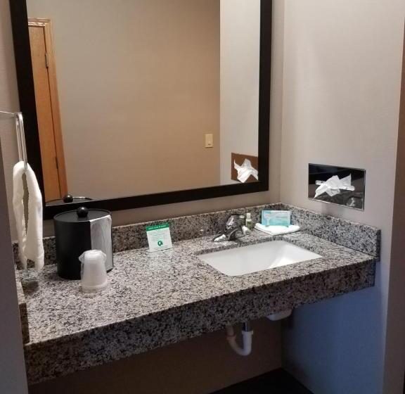 身障者適用キングサイズベッドルーム, Okoboji Inn & Suites