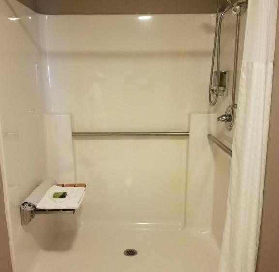 身障者適用キングサイズベッドルーム, Okoboji Inn & Suites