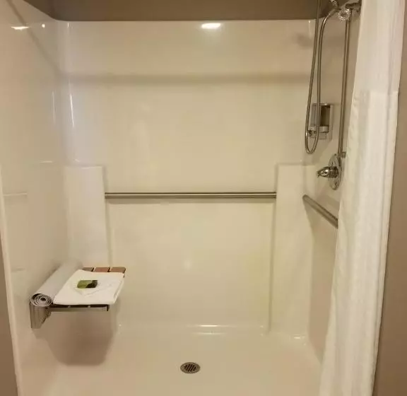 身障者適用キングサイズベッドルーム, Okoboji Inn & Suites
