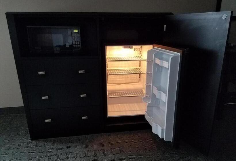 身障者適用キングサイズベッドルーム, Okoboji Inn & Suites