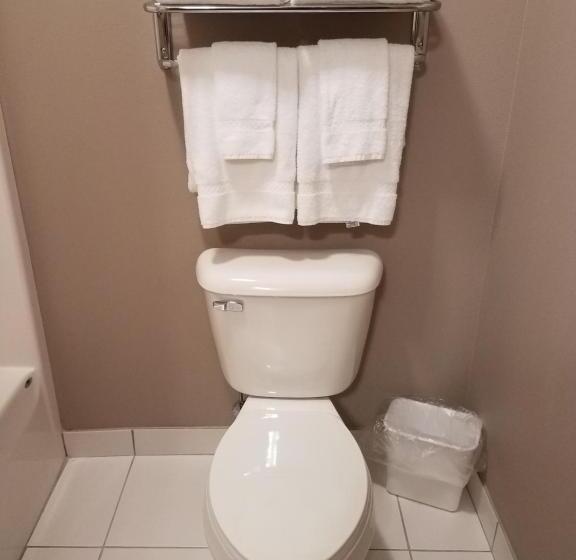 キングサイズベッドのスイートルーム, Okoboji Inn & Suites