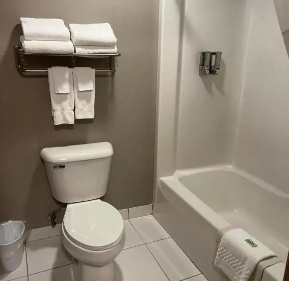 キングサイズベッドのスタンダードルーム, Okoboji Inn & Suites