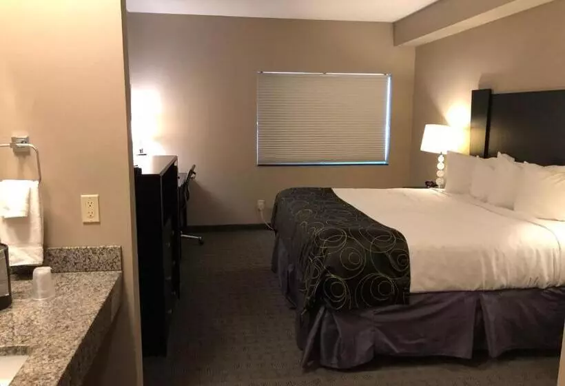 キングサイズベッドのスタンダードルーム, Okoboji Inn & Suites