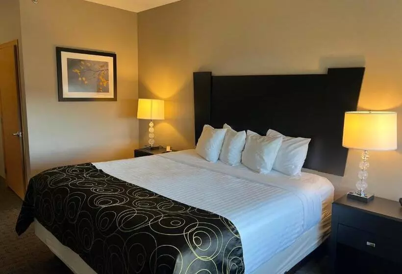 ハイドロマッサージバス付きスイート, Okoboji Inn & Suites