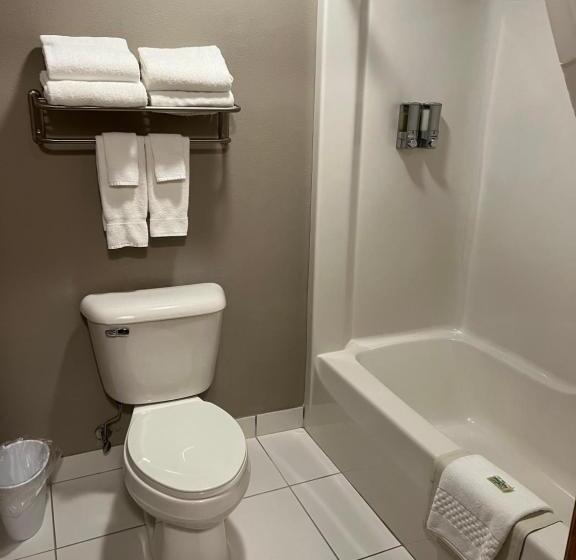 ハイドロマッサージバス付きスイート, Okoboji Inn & Suites