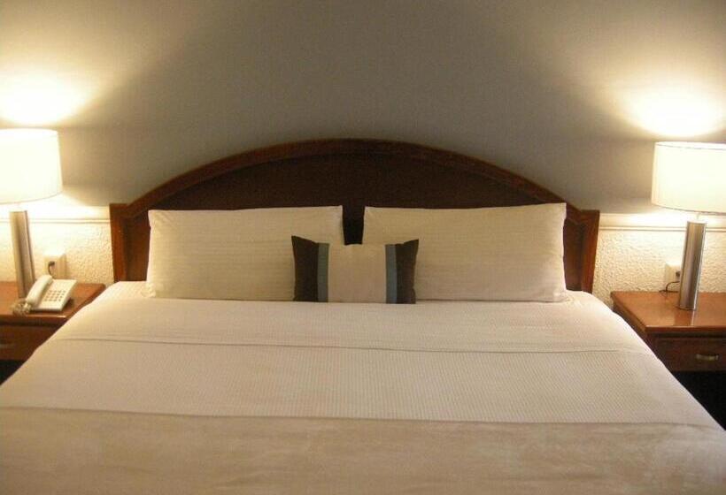 غرفة قياسية سرير كينج, Scala