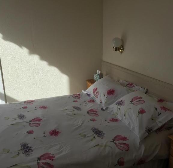 Номер Стандарт, Dorstan House