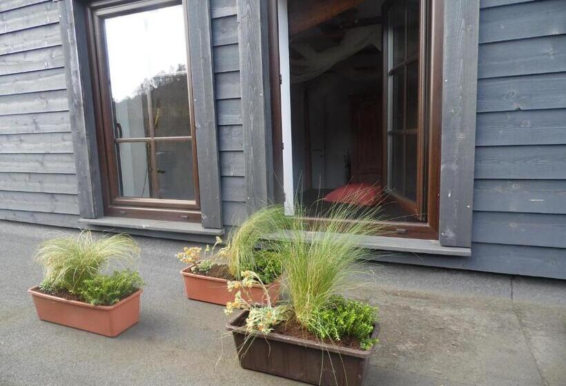 스탠다드 스튜디오, Western City